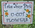 Take Your Pick Flower Farm