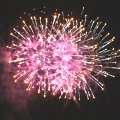 fireworks_pink120