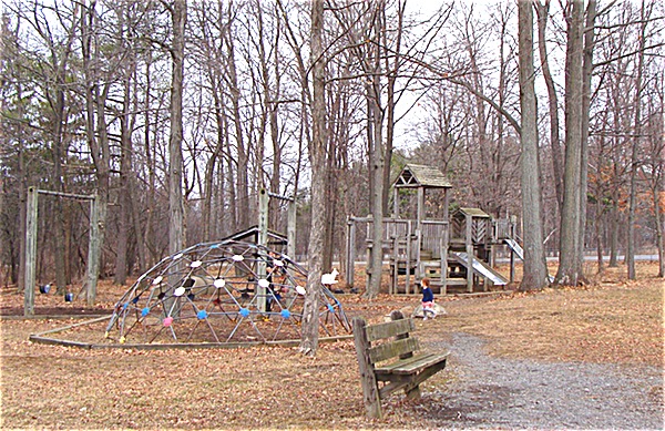 Village Park Play Structure
