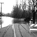 flood_road120