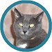 Pet of the Week Pet of the Week