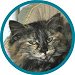 Pet of the Week