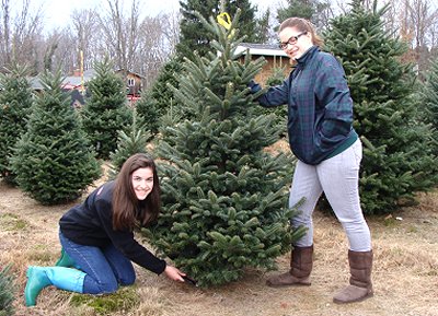 Saint Catherine's of Sienna Church members Casey Fetsko, 15, and sister Erin Fetsko, 16, from Ithaca, cut down a tree mtf_fetskos