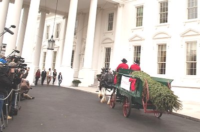 First Lady Michelle Obama, and daughters Sasha and Malia, welcome the arrival of the official White House Christmas tree at the North Portico of the White House, Nov. 26, 2010. Standing with them are Chris and Brandi Botek of the Crystal Spring Tree Farm in Leighton, Pa., where the 19 1/2-foot Douglas fir was cut. The Moores and other NCTA officials were at left where photographers captured the event. (Official White House Photo by Lawrence Jackson) mtf_treearrives