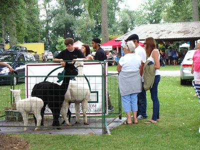 hf2011_alpaca