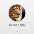 lion_120