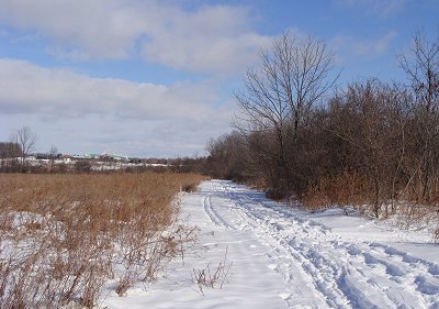The eastern portion of the trail runs from the parking lot toward the north. towntrail_trail400