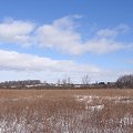 Town Center Trail