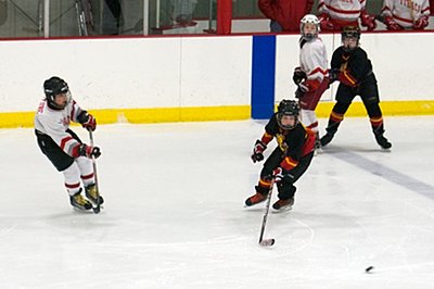 Photo by Wendy Robbins hockey_pw20120216