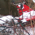 cartlaw_120