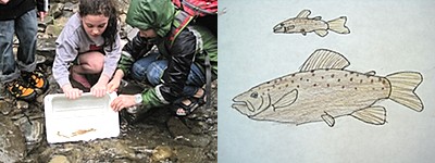 South Hill Elementary School fourth graders release trout fingerlings at Lower Buttermilk Falls State Park as part of the 'Trout In the Classroom' program. ipeidoucet_400