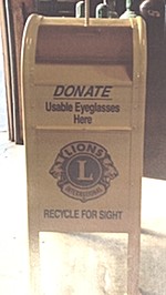 lionsmailboxglasses