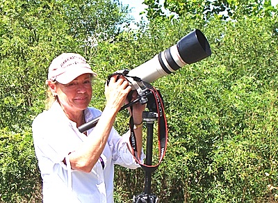 Biologist Candace Cornell ospreycc_candace