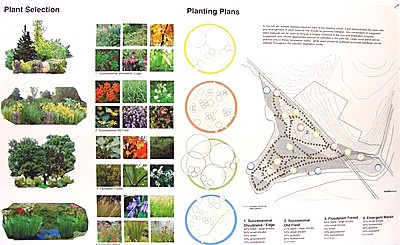 Salt Point Planting Plan saltpoint_plantingplan