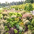bioswale-3432