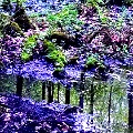 cornellplantation_natarea120
