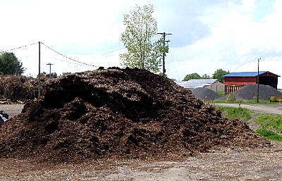 Wood chips are free for Lansing residents, but this pile was off limits until a mother goos flew the coop Thursday goose_chippile