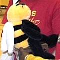 bee15 120