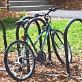 biketoworkday