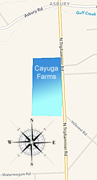 Cayuga farms is proposed for a 31.5 acre site south of Asbury Road and west of Triphammer Road cayugafarms map