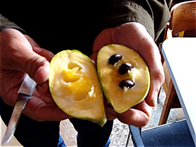 Paw paws look like deformed pears on the outside, but the inside has a banana-like texture that tastes like a pear and a melon have been blended to yield a quite refreshing and delicious fruit Paw Paw