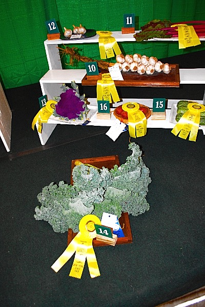 nysf 0167