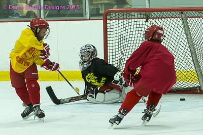 The RINK is home to theFinger Lakes Regional Hockey Association, which just started its first season. Photo by Diane Duthie Finger Lakes Regional Hockey Association