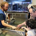 sciencenter touchtank