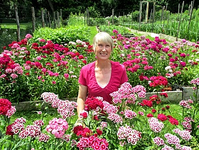 Linda VanApeldoorn Linda VanApeldoorn
