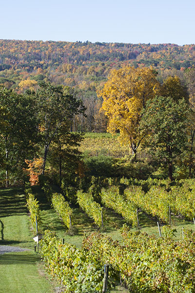 The view from the deck View from the Deck