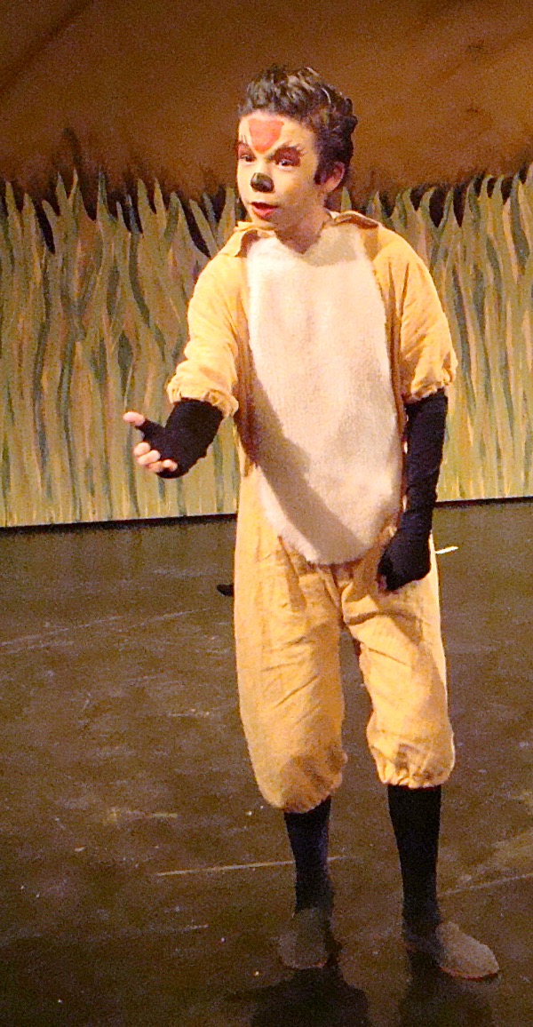 lkj 00309