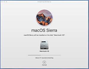 Don't forget: only install a new operating system when you don't need your device for urgent work. OS installations take time, a lot of time. macOS Sierra