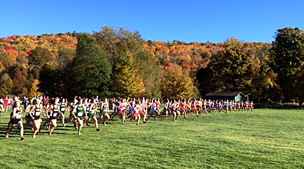Photo by Janet Keefe xc 20161019