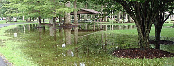 Flooding forced a concert cancellation a week ago at Myers Park. Photo by Karen Veaner Flooding at Myers Park