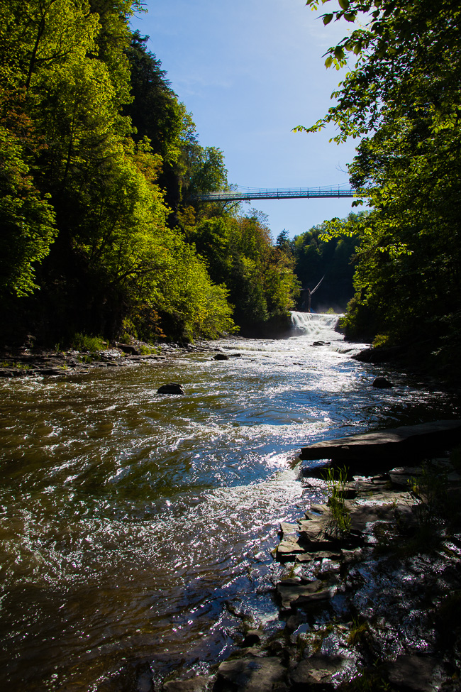 monroe Fall Creek Gorge