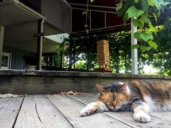 monroe Vineyard Restaurant Greeter