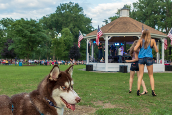 City Limits and The Destination Band at Myers Park - Photos by Diane Duthie