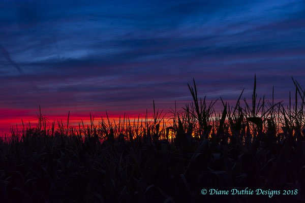 Photos by Diane Duthie