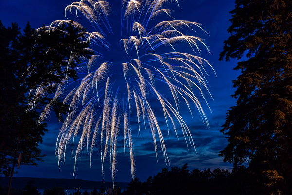 Lansing Fireworks - Diane Duthie