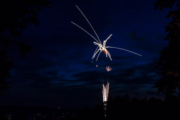 Lansing Fireworks - Diane Duthie