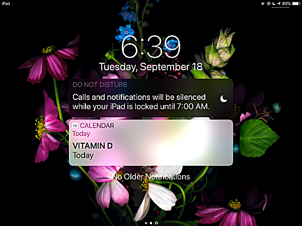 iOS 12