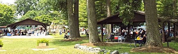 Lansing Lions 2018 4th of July Picnic