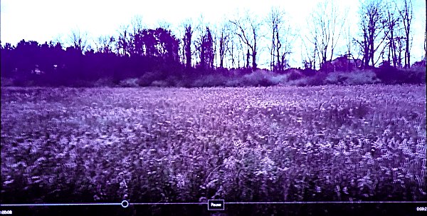 David Beer created videos showing the 41 acre property from a few different vantage points, illustrating the relationship between the new pocket neighborhoods and neighboring existing homes and businesses. Lansing Village Cottages