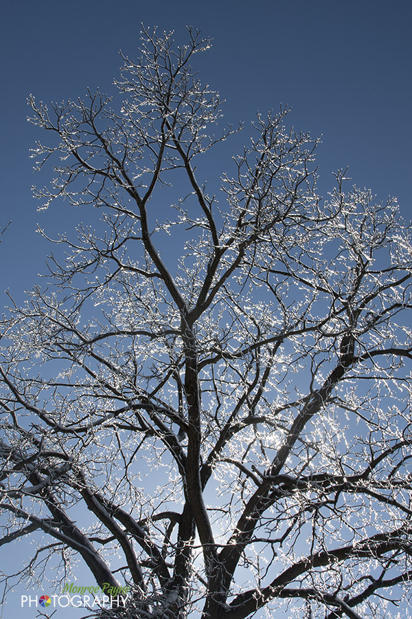 monroe Sun and Ice