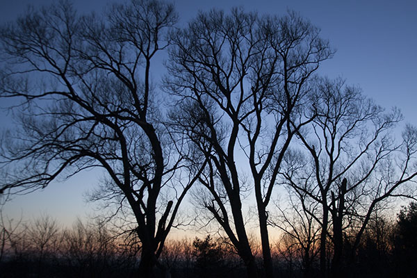 monroe Winter Sunrise