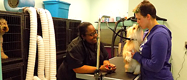 Groomer Courtney Harrigan (left) takes a quick break while Owner Melissa Gianonne says hello to a client nbai courtney