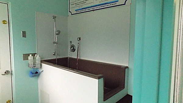 Bring your dirty dog and yourself -- everything else is provided in the Self-Wash room nbai diy