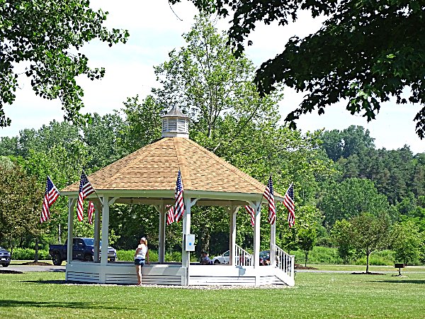 Lansing Lions 4th of July Barbecue