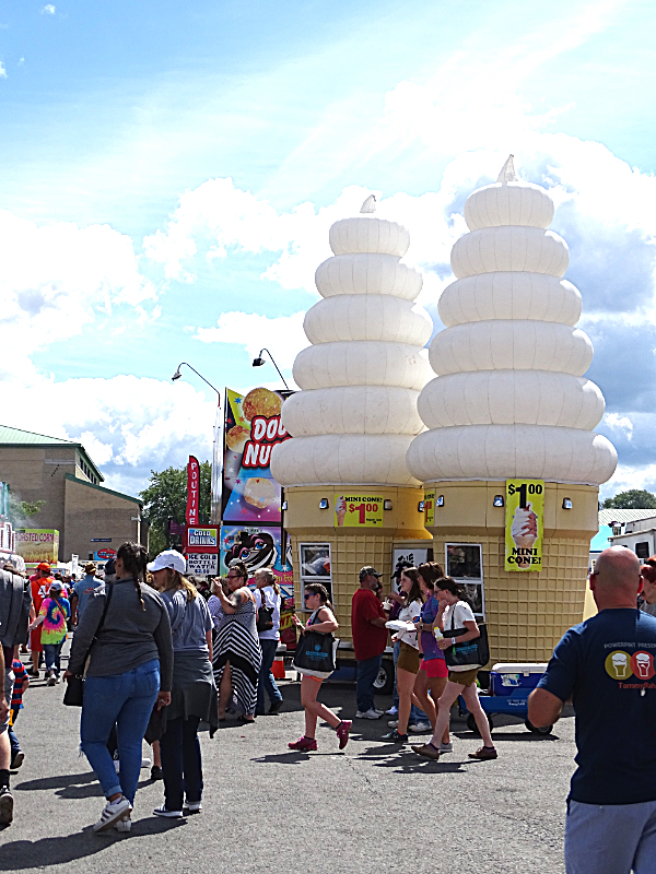 2019 NY State Fair Photo by Karen Veaner