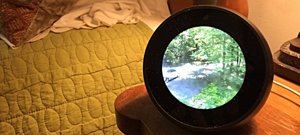 Wyze Cam displays on an Echo Spot Wyze Cam displays on an Echo Spot